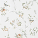 Fruit Aviary - 216313