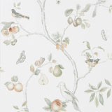 Fruit Aviary - 216313
