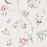 Fruit Aviary - 216314