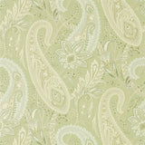 Cashmere Paisley - 216320