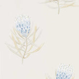 Protea Flower - 216327