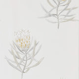 Protea Flower - 216328