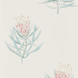 Protea Flower - 216330