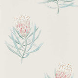 Protea Flower - 216330