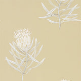 Protea Flower - 216331
