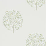 Bay Tree - 216359