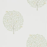 Bay Tree - 216359