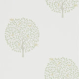 Bay Tree - 216359