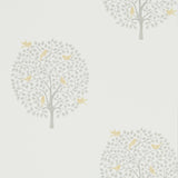 Bay Tree - 216360