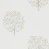 Bay Tree - 216360