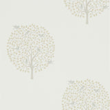 Bay Tree - 216362
