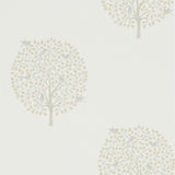 Bay Tree - 216362