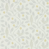 Damson Tree - 216363