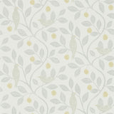 Damson Tree - 216363