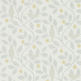Damson Tree - 216363