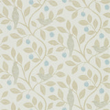 Damson Tree - 216364