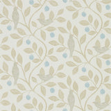 Damson Tree - 216364