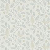 Damson Tree - 216365