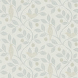 Damson Tree - 216365