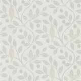 Damson Tree - 216365