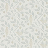 Damson Tree - 216365