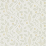 Damson Tree - 216366