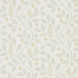 Damson Tree - 216366