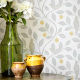 Damson Tree - 216366