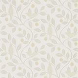 Damson Tree - 216366