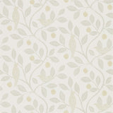 Damson Tree - 216366