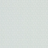 Hemp - 216368