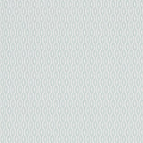 Hemp - 216368