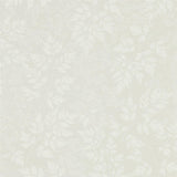 Spring Leaves - 216371