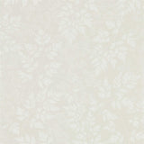 Spring Leaves - 216371