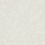 Spring Leaves - 216371