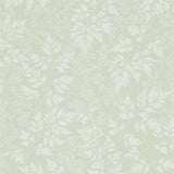 Spring Leaves - 216372