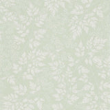 Spring Leaves - 216372