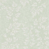 Spring Leaves - 216372
