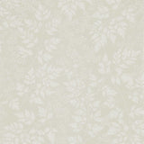 Spring Leaves - 216374