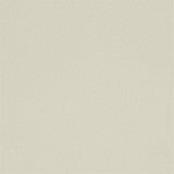 Dorothy - 216381