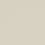 Dorothy - 216381