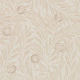 Orange Tree - 216401