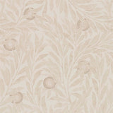 Orange Tree - 216401