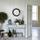 Orange Tree - 216402