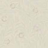Orange Tree - 216403