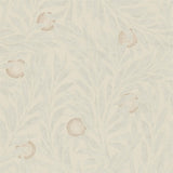 Orange Tree - 216403