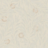 Orange Tree - 216403