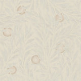 Orange Tree - 216403