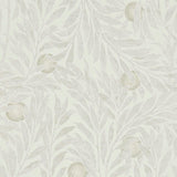 Orange Tree - 216404