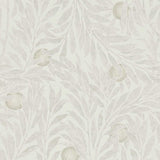 Orange Tree - 216404